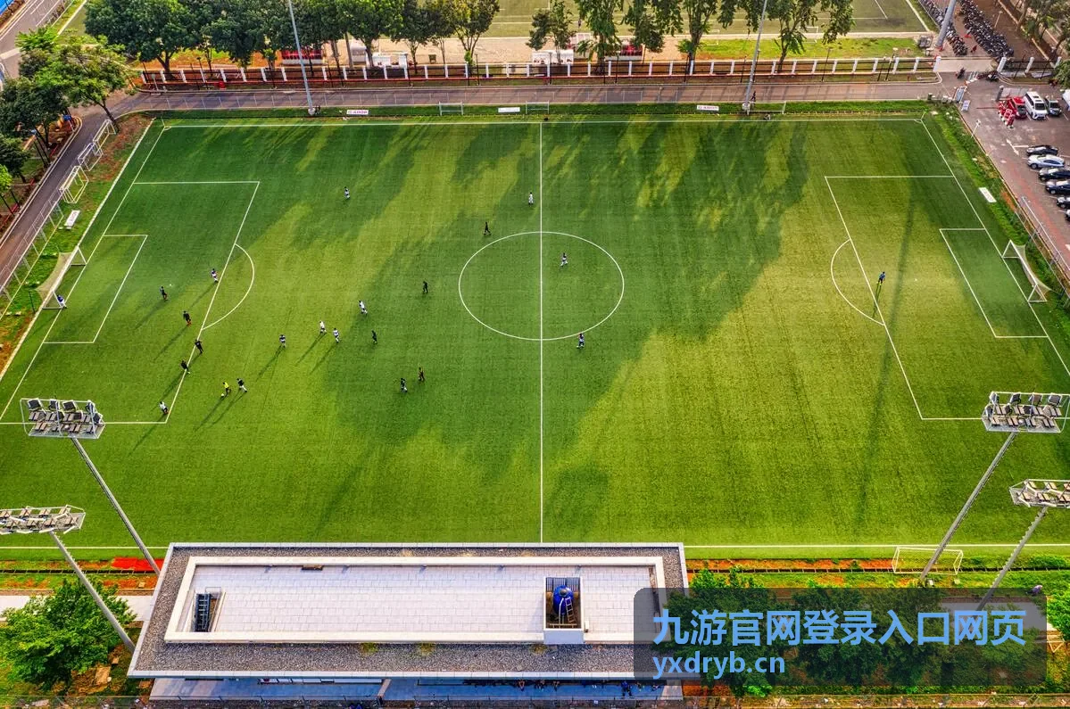 九游官网登录入口网页账号安全设置页面示意